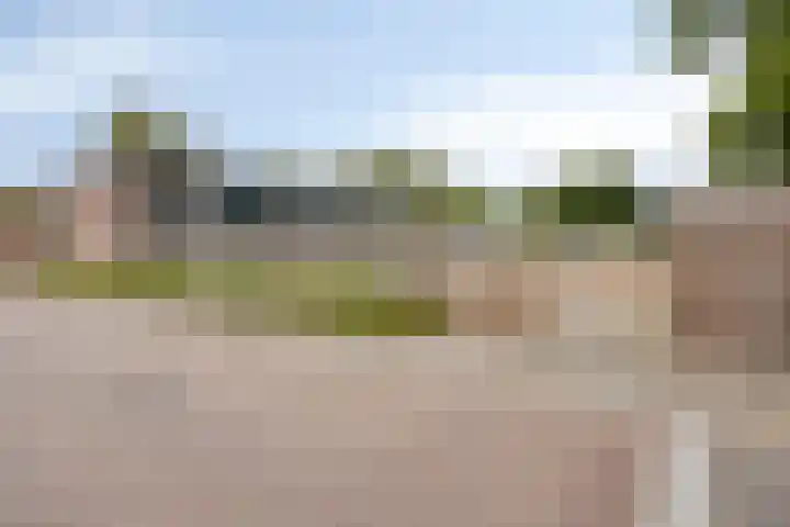 Laan van de Marel 234 Emmen thumbnail 27