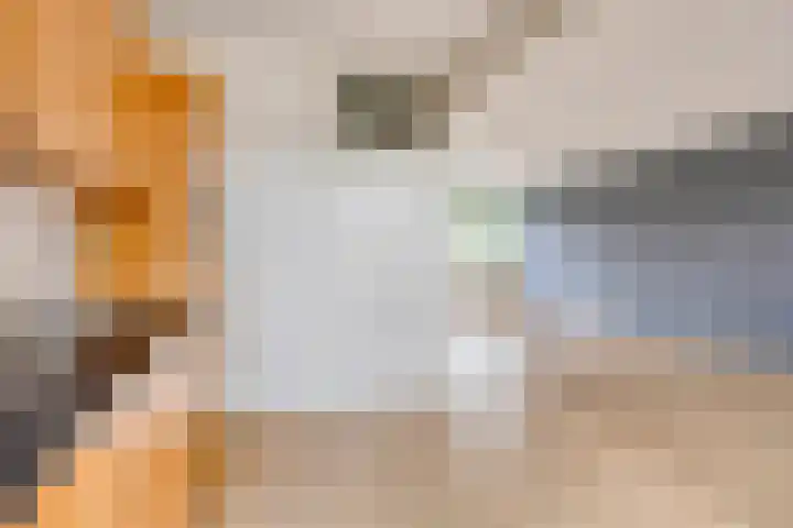 Laan van de Marel 234 Emmen thumbnail 4