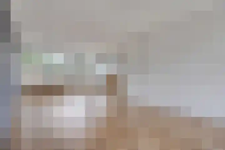 Laan van de Marel 234 Emmen thumbnail 6