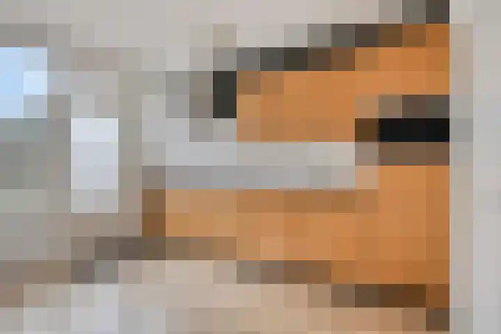 Laan van de Marel 234 Emmen thumbnail 8