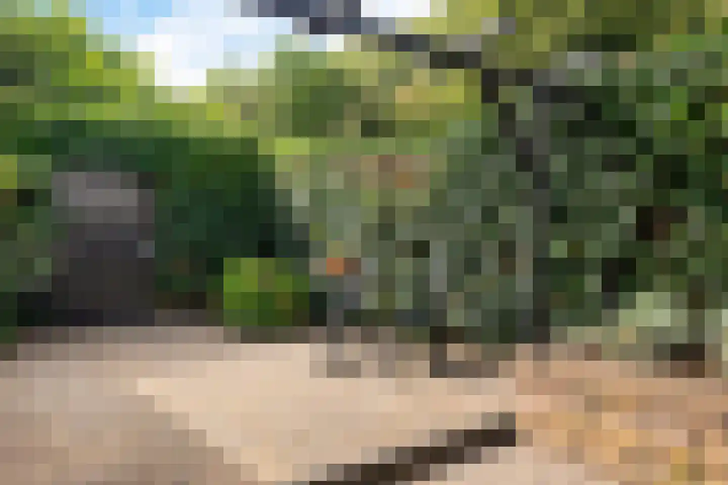 Laan van de Marel 292 Emmen thumbnail 31