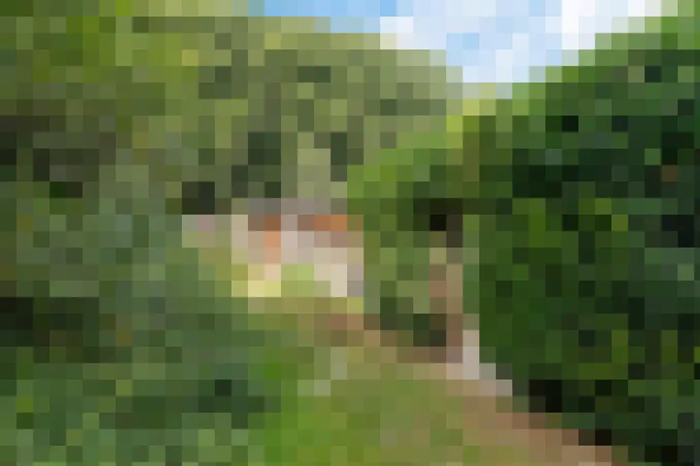 Laan van de Marel 292 Emmen thumbnail 32