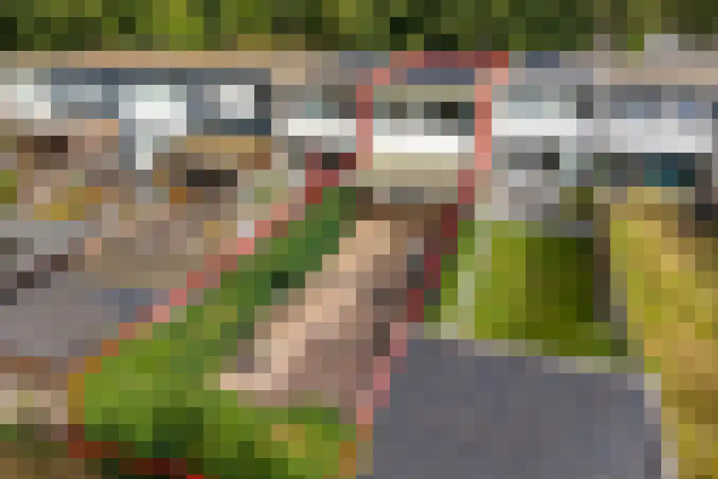 Laan van de Marel 292 Emmen thumbnail 33