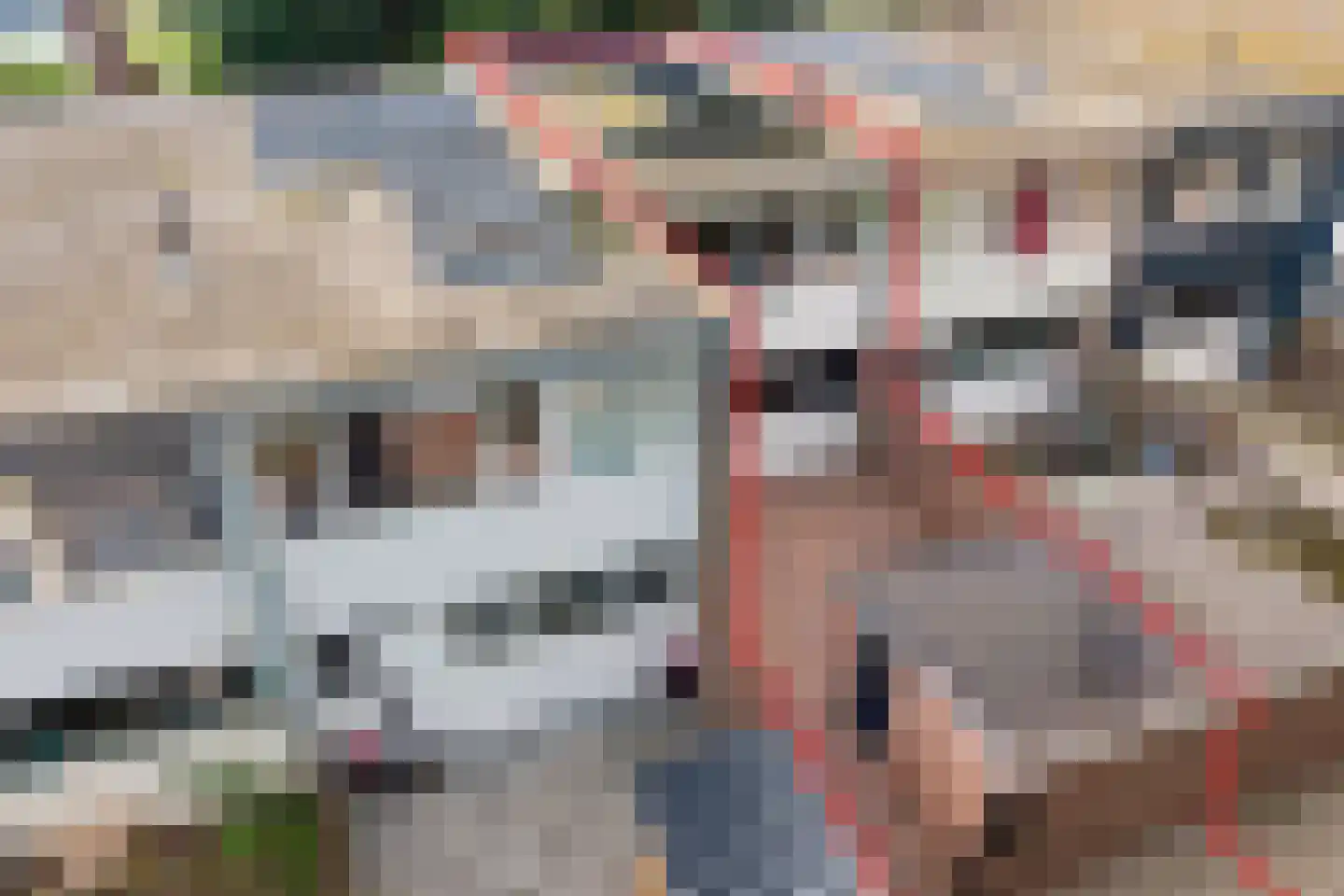 Laan van de Marel 292 Emmen thumbnail 35