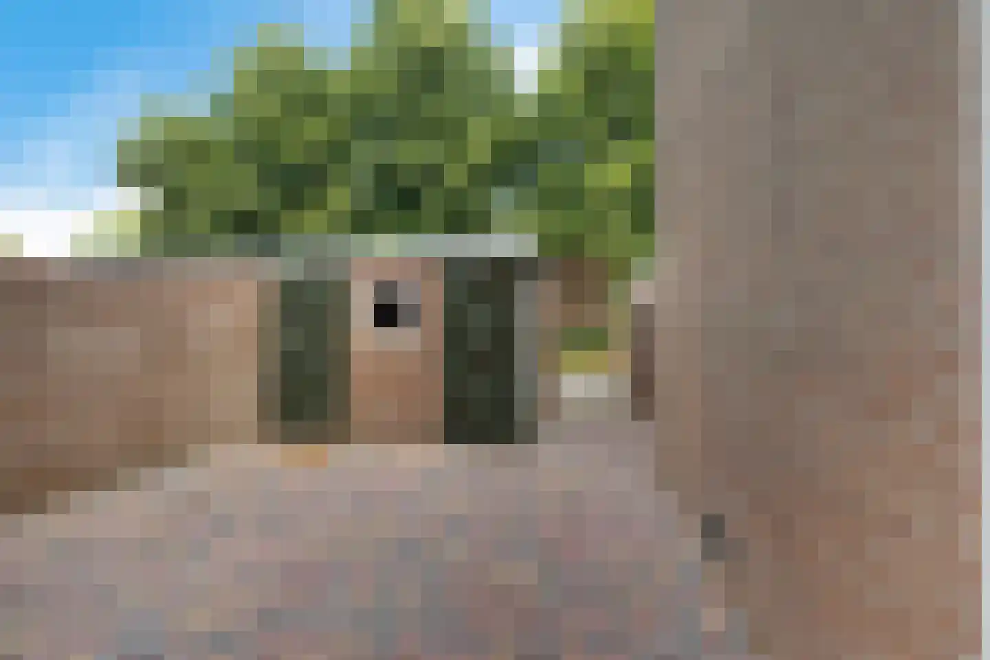 Laan van de Marel 292 Emmen thumbnail 40