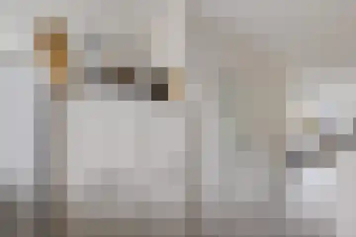 Laan van de Marel 322 Emmen thumbnail 10