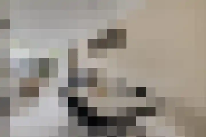 Laan van de Marel 322 Emmen thumbnail 11