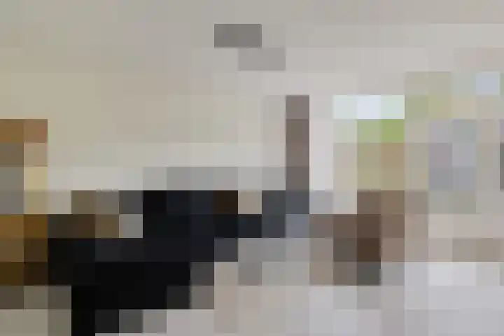 Laan van de Marel 322 Emmen thumbnail 13