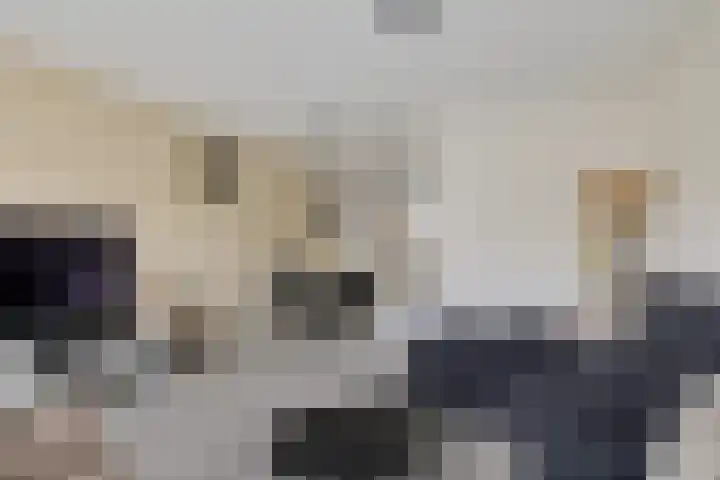 Laan van de Marel 322 Emmen thumbnail 15