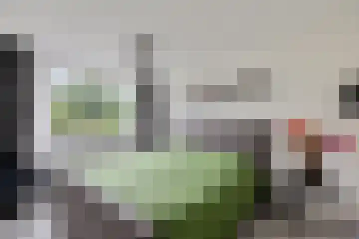Laan van de Marel 322 Emmen thumbnail 25