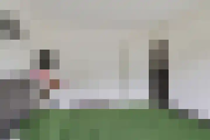 Laan van de Marel 322 Emmen thumbnail 26
