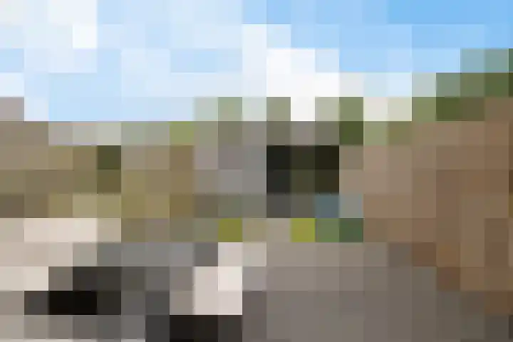Laan van de Marel 322 Emmen thumbnail 27