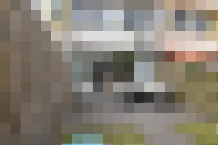 Laan van de Marel 322 Emmen thumbnail 29