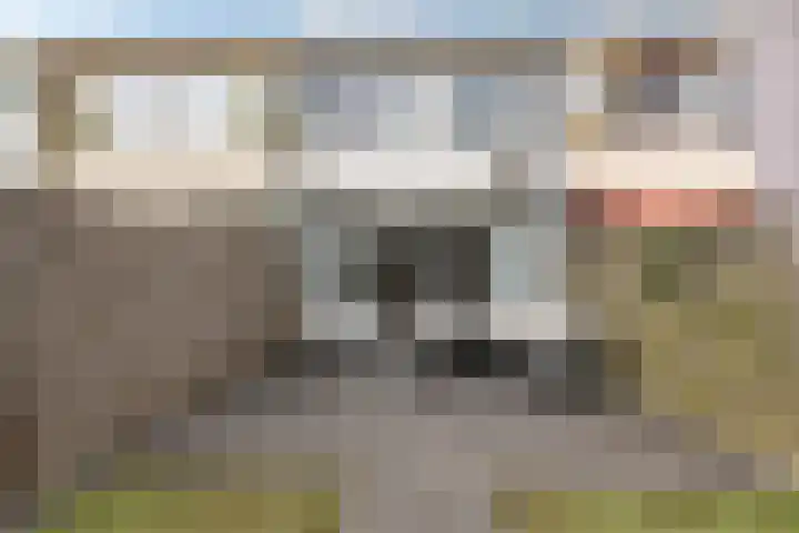 Laan van de Marel 322 Emmen thumbnail 30