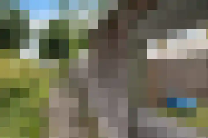 Laan van de Marel 322 Emmen thumbnail 31