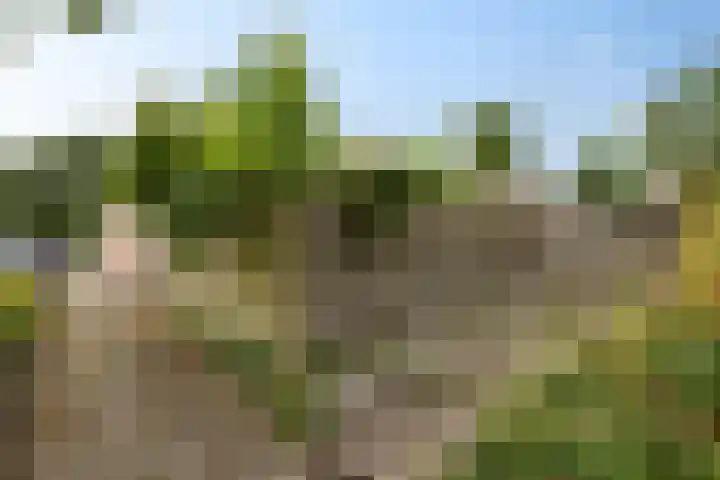 Laan van de Marel 322 Emmen thumbnail 32
