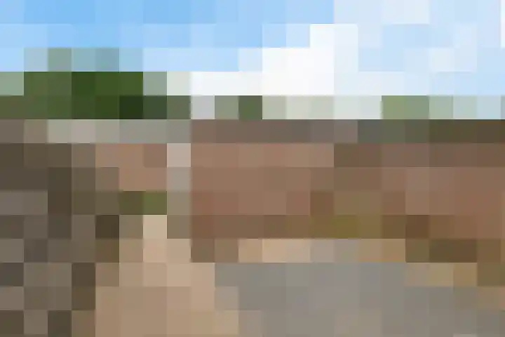 Laan van de Marel 322 Emmen thumbnail 33