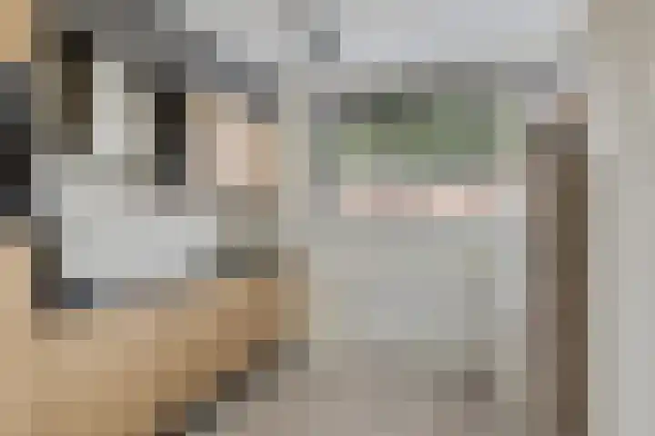 Laan van de Marel 322 Emmen thumbnail 8