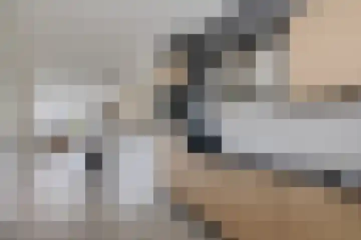 Laan van de Marel 322 Emmen thumbnail 9