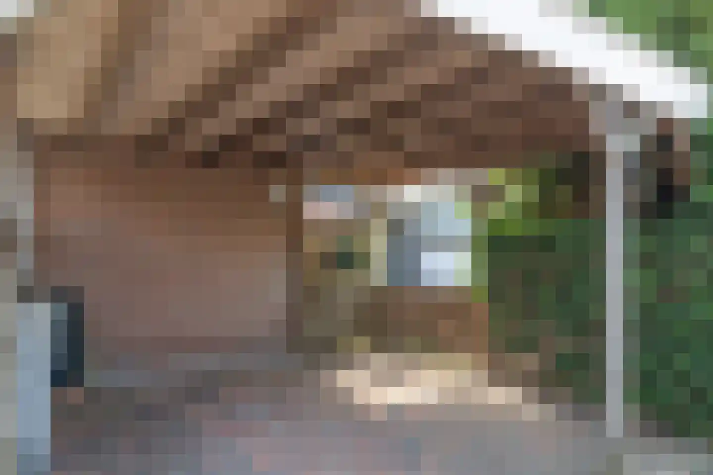 Laan van de Marel 329 Emmen thumbnail 7