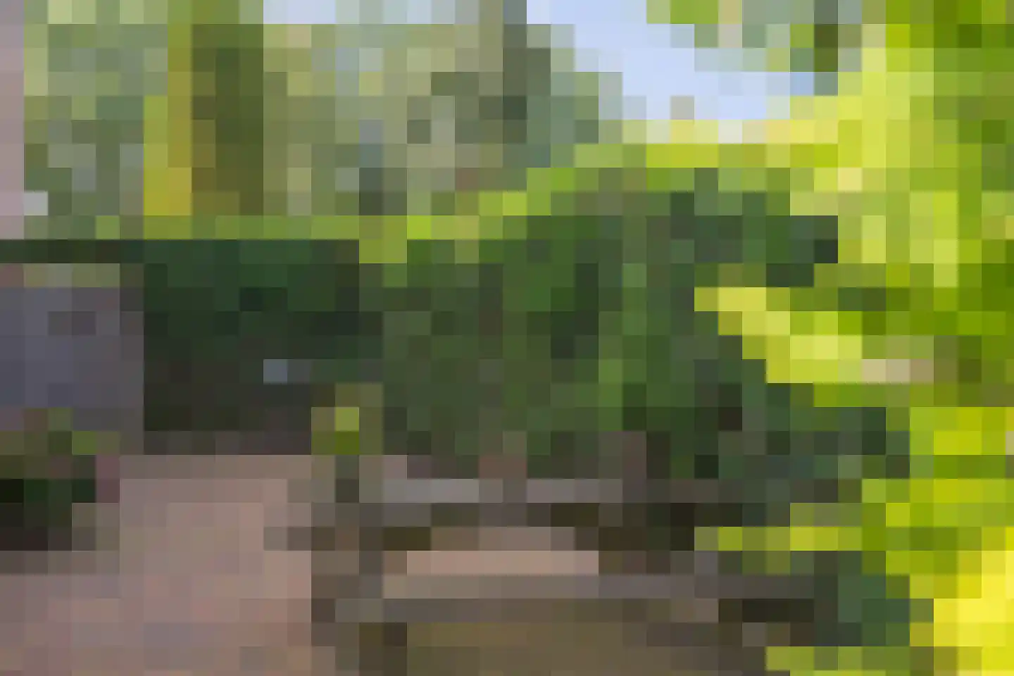 Laan van de Marel 329 Emmen thumbnail 9