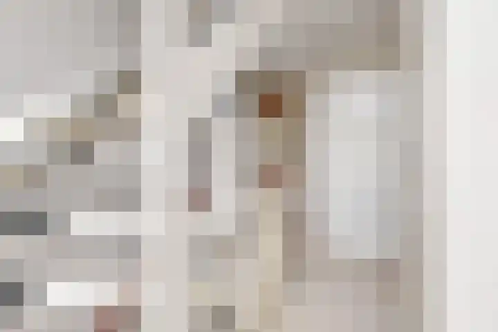 Laan van de Marel 343 Emmen thumbnail 5