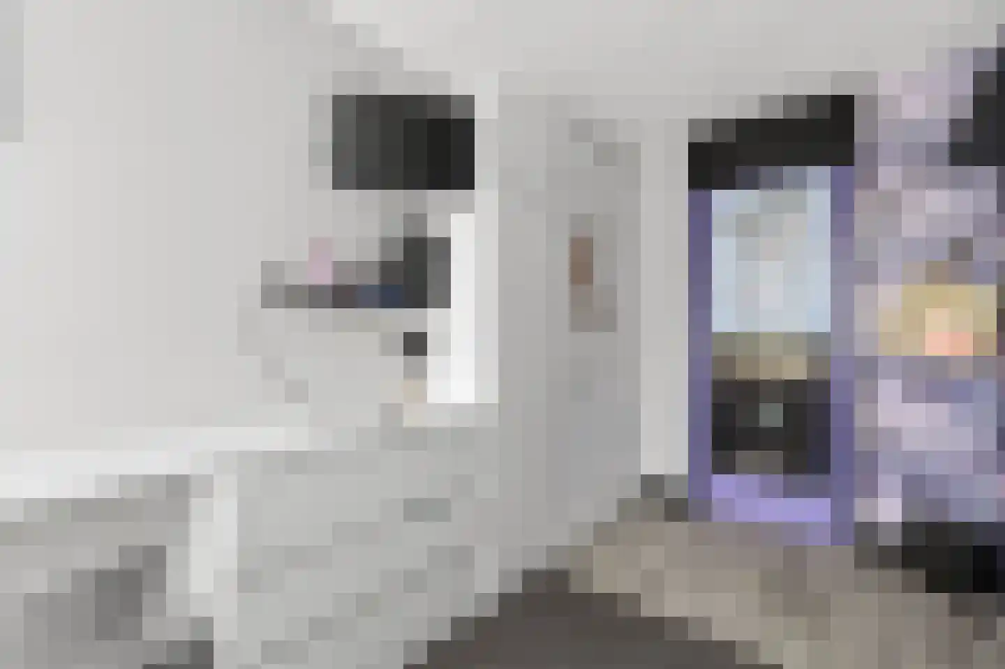 Laan van de Marel 347 Emmen thumbnail 21