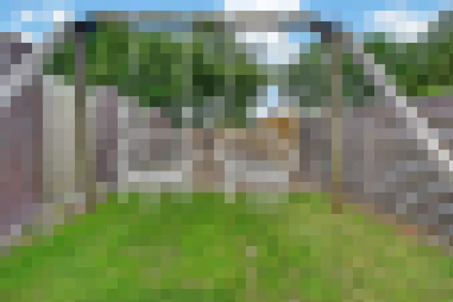 Laan van de Marel 347 Emmen thumbnail 29