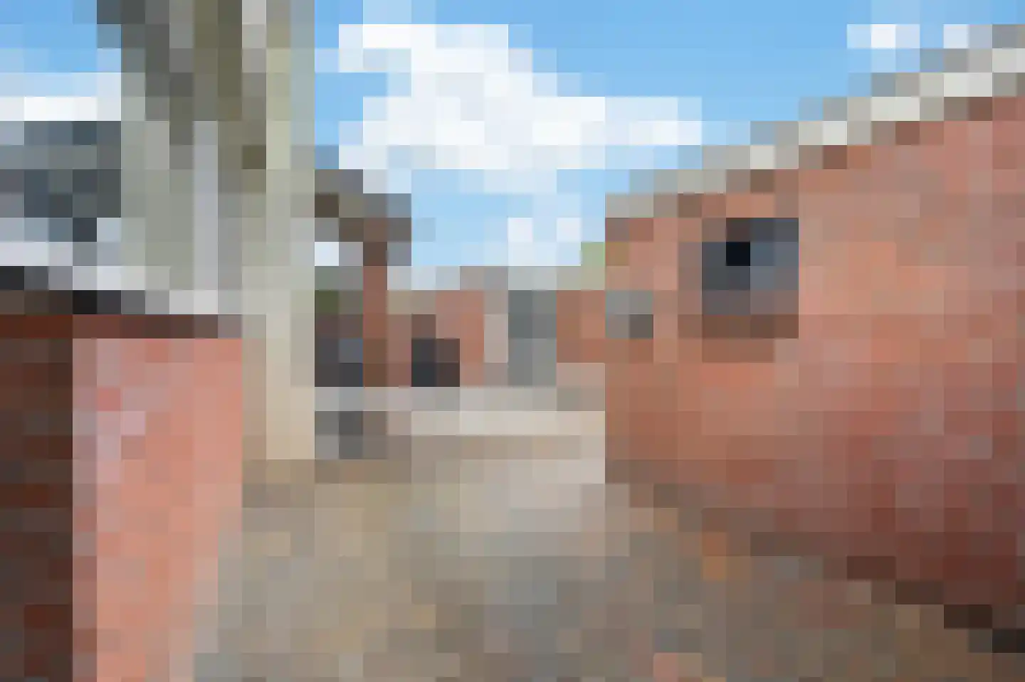 Laan van de Marel 347 Emmen thumbnail 33