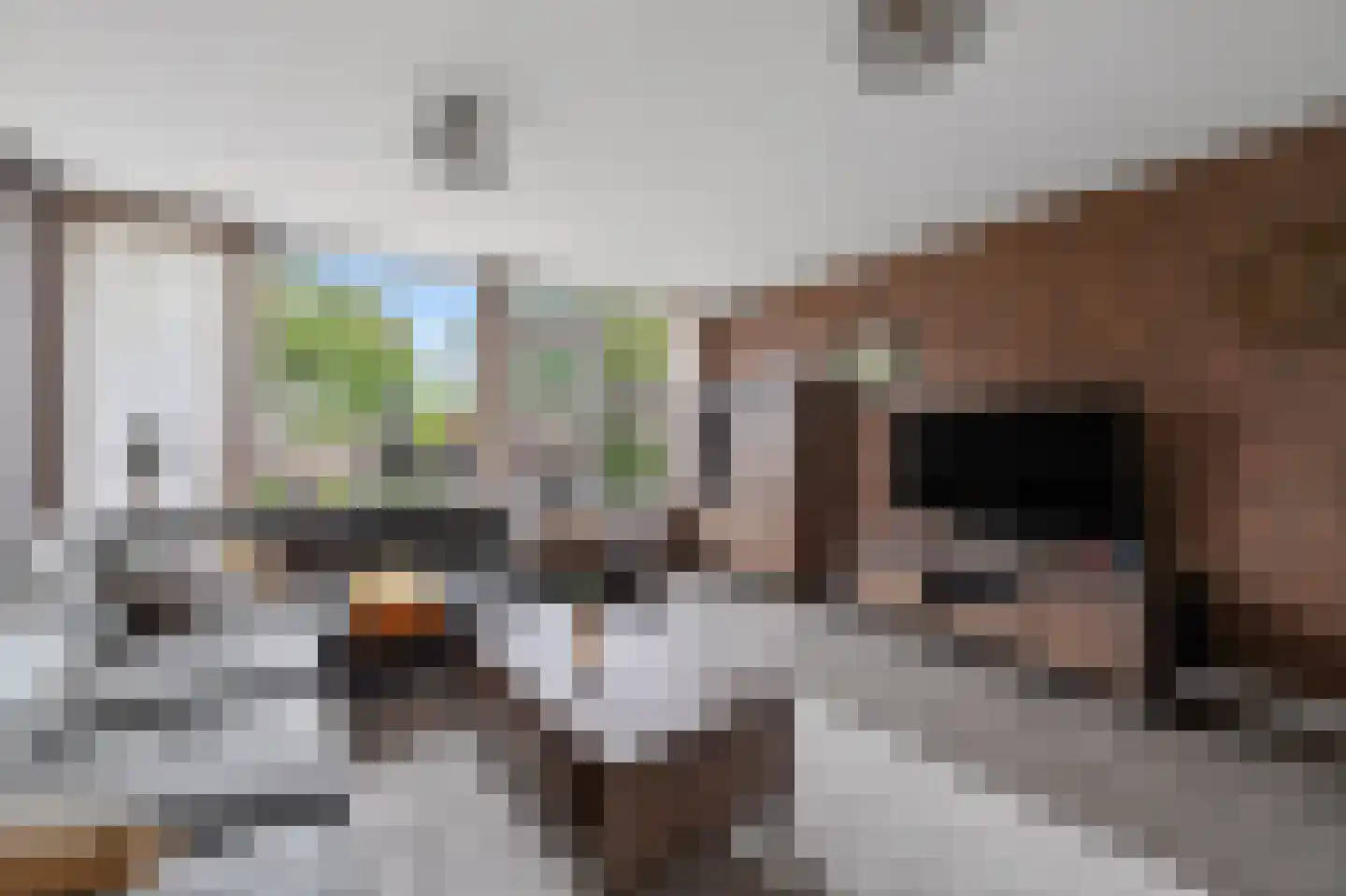Laan van de Marel 347 Emmen thumbnail 5