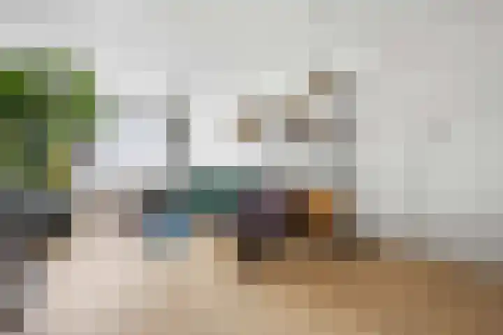 Laan van de Marel 360 Emmen thumbnail 13