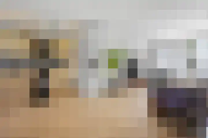 Laan van de Marel 360 Emmen thumbnail 16