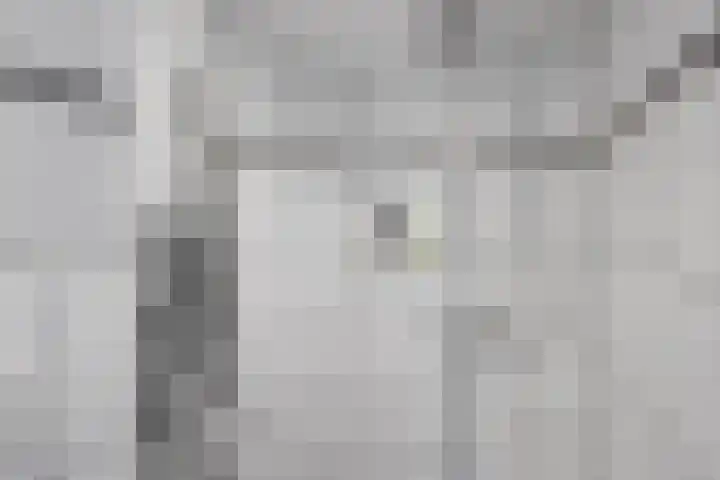 Laan van de Marel 360 Emmen thumbnail 22