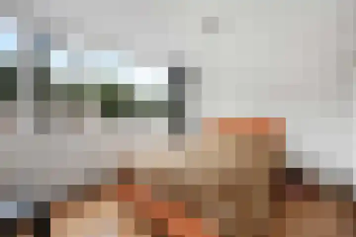 Laan van de Marel 360 Emmen thumbnail 26