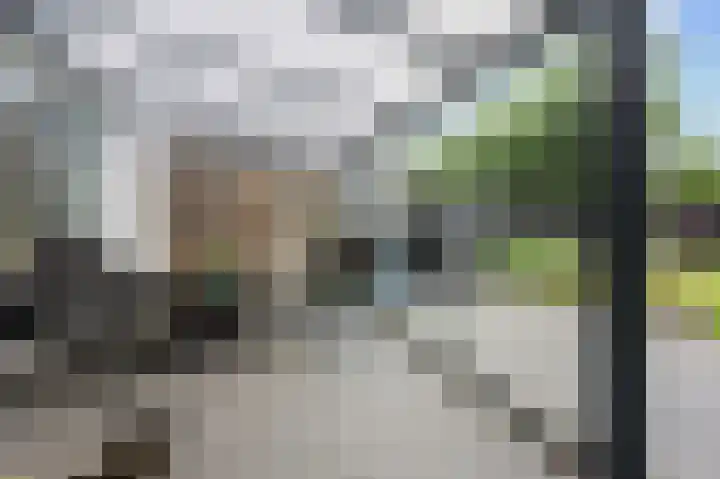 Laan van de Marel 360 Emmen thumbnail 28