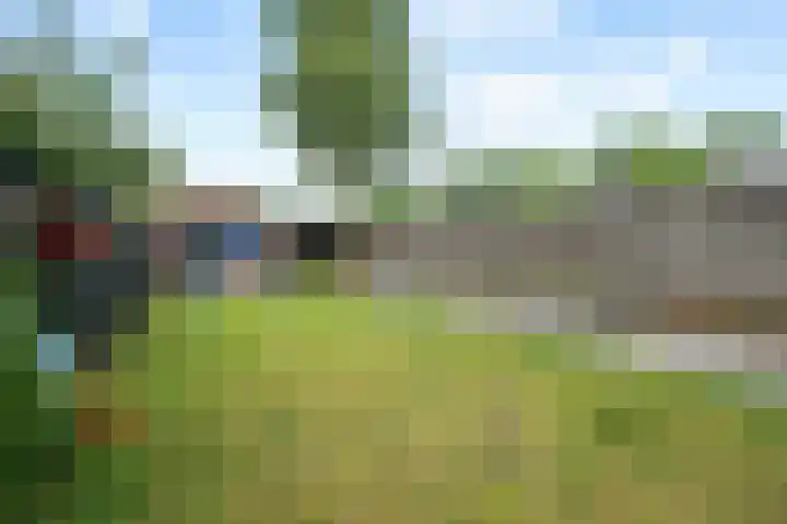 Laan van de Marel 360 Emmen thumbnail 33