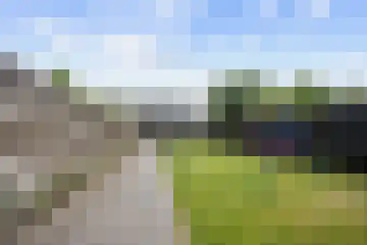 Laan van de Marel 360 Emmen thumbnail 34