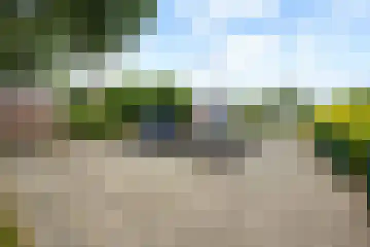 Laan van de Marel 360 Emmen thumbnail 39