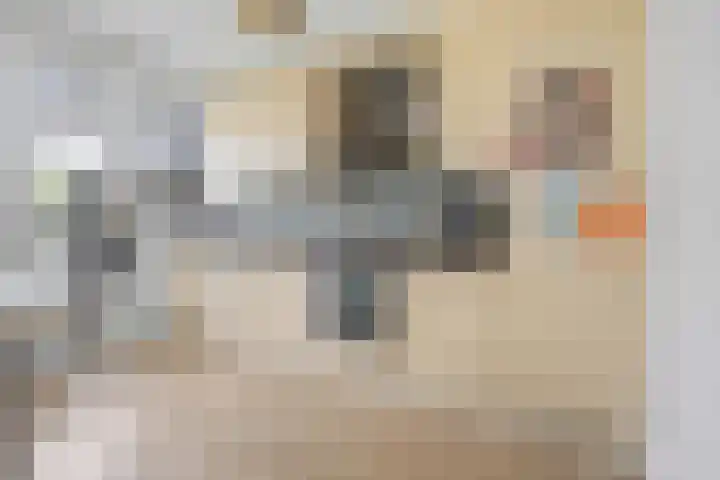 Laan van de Marel 360 Emmen thumbnail 6