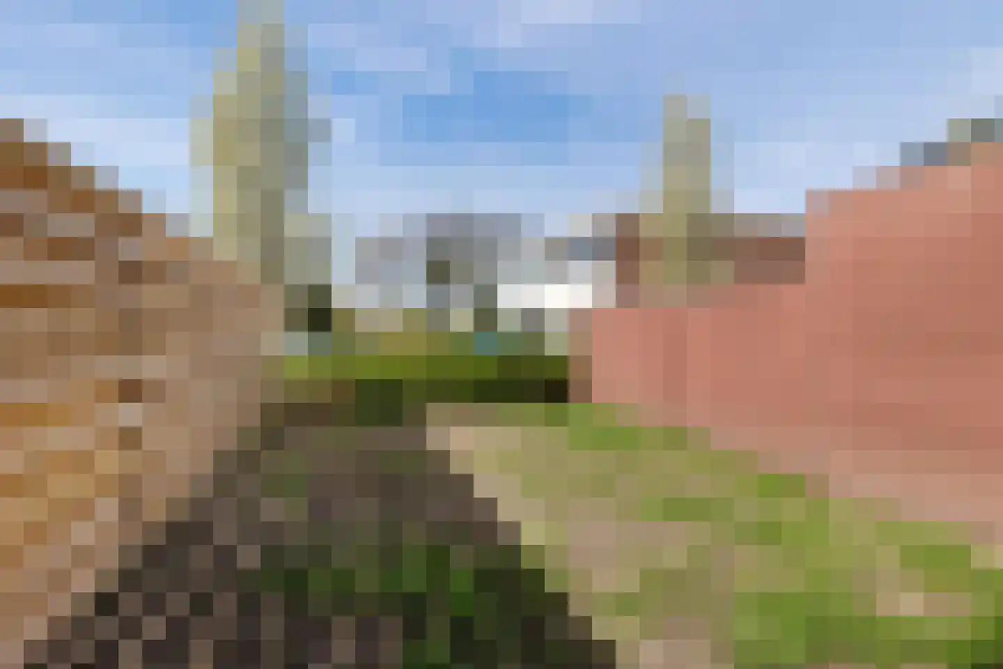 Laan van de Marel 365 Emmen thumbnail 22