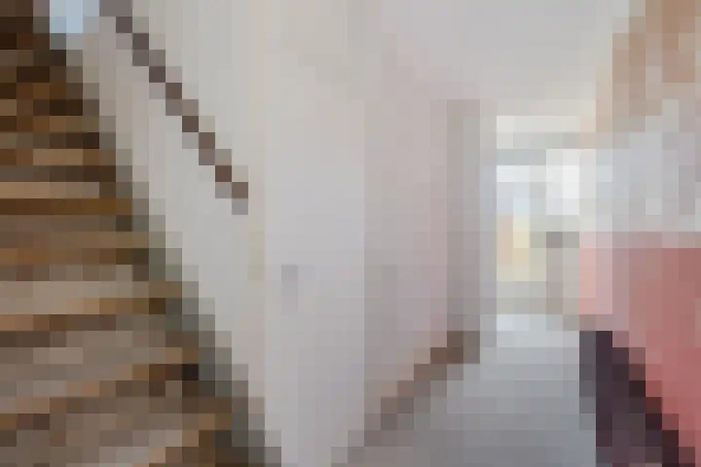 Laan van de Marel 365 Emmen thumbnail 6