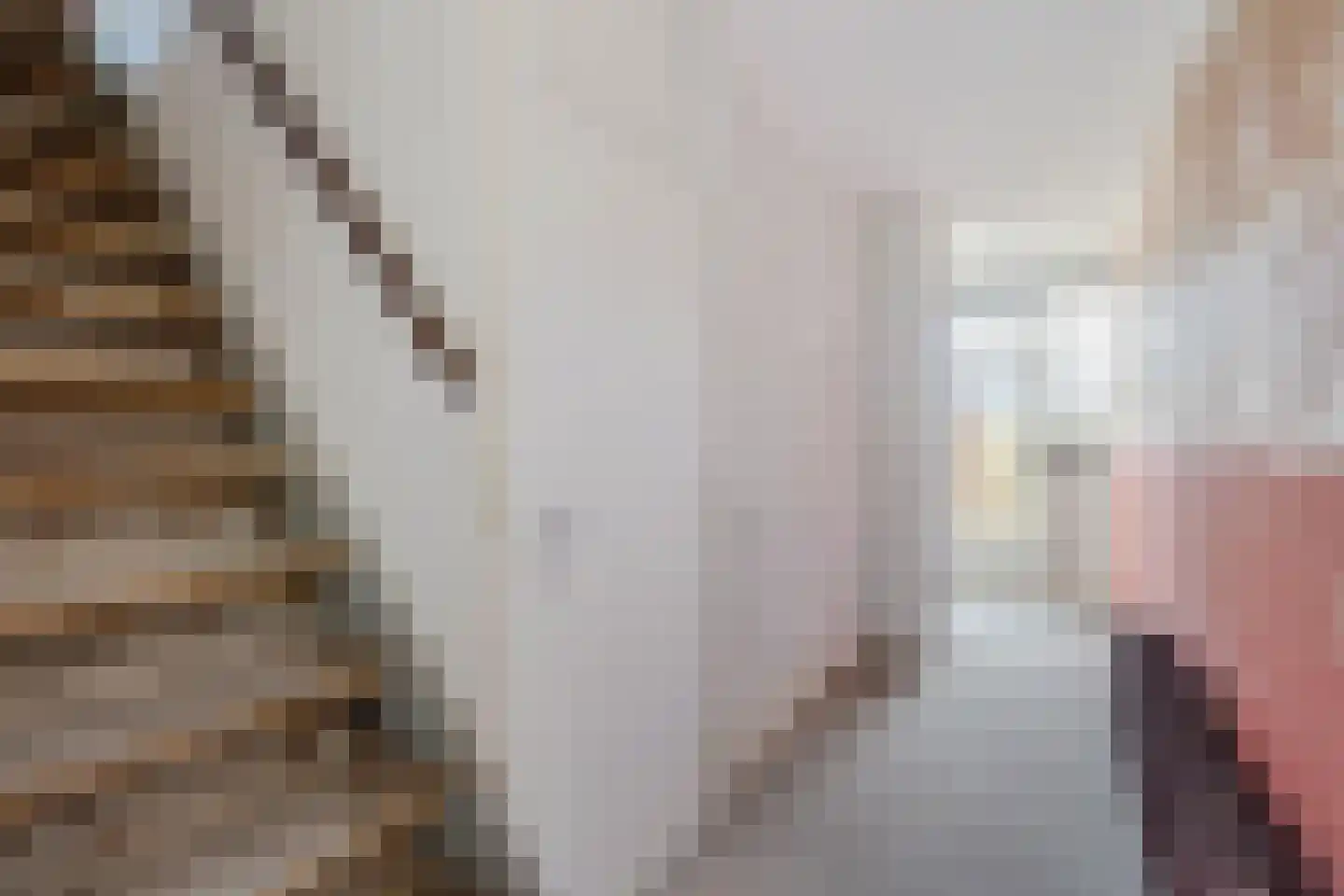 Laan van de Marel 365 Emmen thumbnail 6