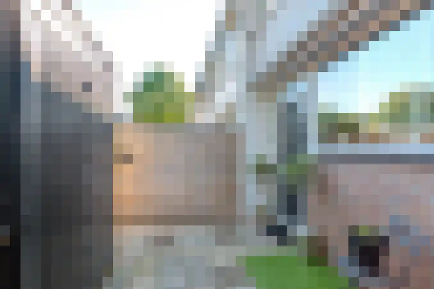 Laan van de Marel 389 Emmen thumbnail 24