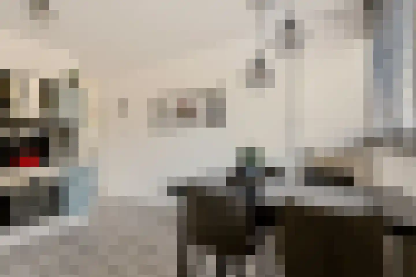 Laan van de Marel 389 Emmen thumbnail 8