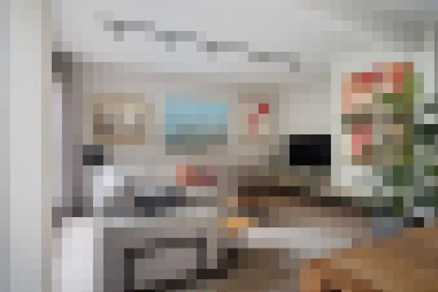Laan van de Marel 42 Emmen thumbnail 14