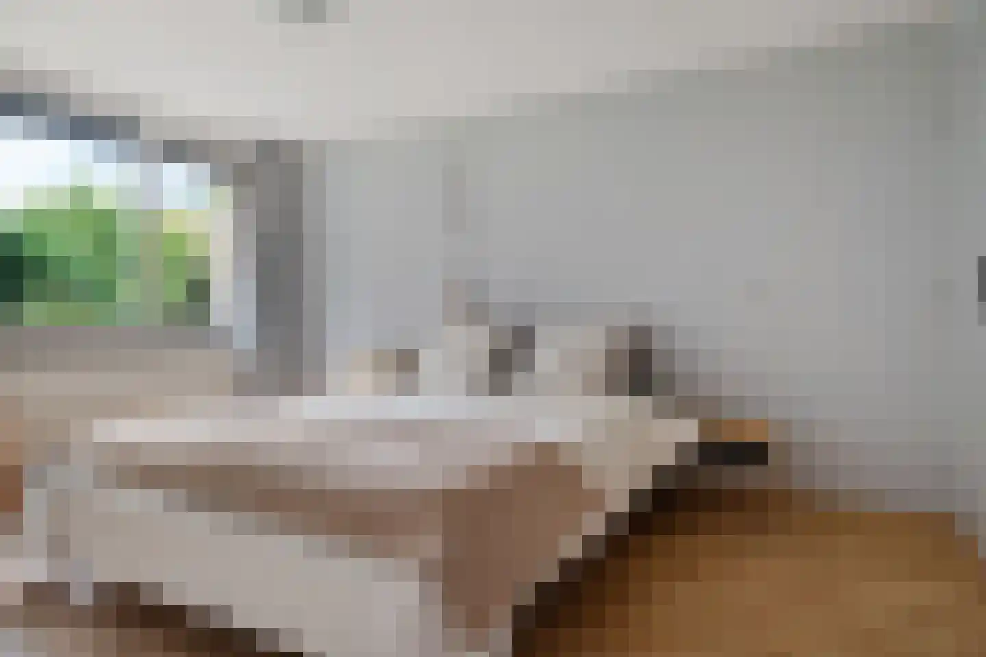 Laan van de Marel 42 Emmen thumbnail 24