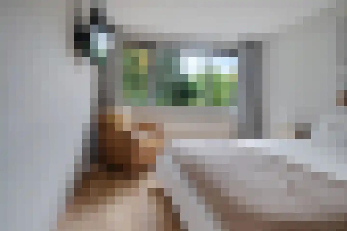 Laan van de Marel 42 Emmen thumbnail 25