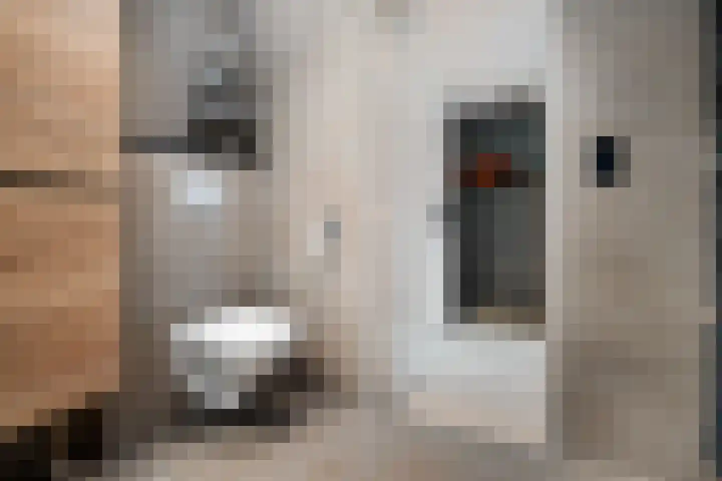 Laan van de Marel 42 Emmen thumbnail 36