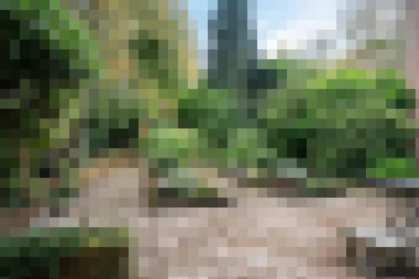 Laan van de Marel 42 Emmen thumbnail 37