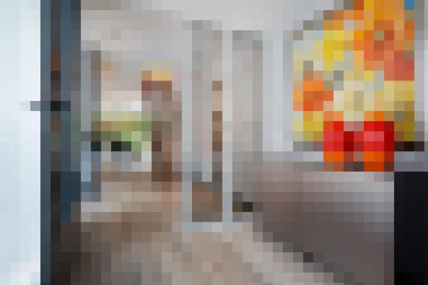 Laan van de Marel 42 Emmen thumbnail 6